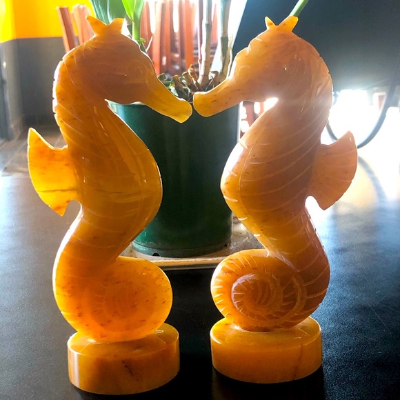 Jade Honey Seahorses